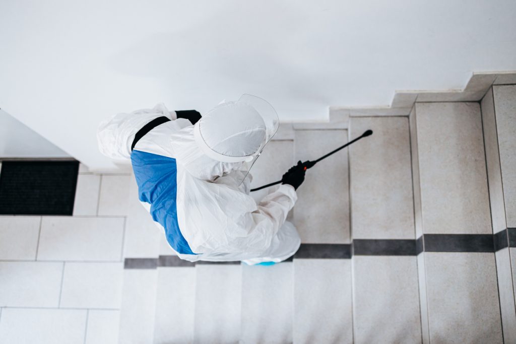 Local Pest Pros Who Care: How Nearby Exterminators Keep Homes Safe and Secure 4 Pest Control Service