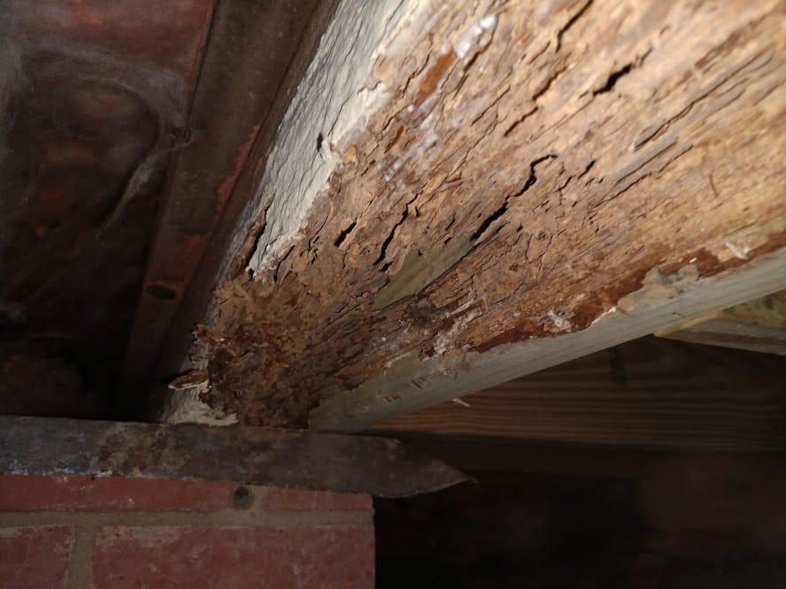 How to Control Attic Moisture and Protect Your Home 4 Attic Moisture Control