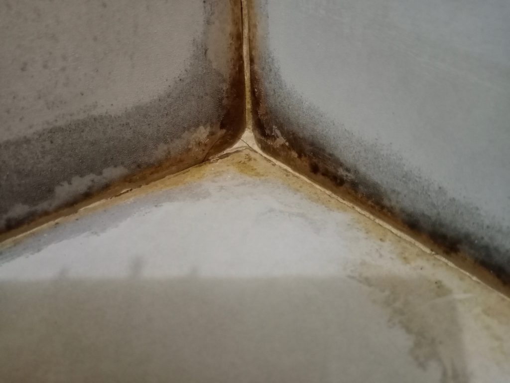 mold and rust in bathroom