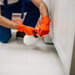 Local Pest Pros Who Care: How Nearby Exterminators Keep Homes Safe and Secure