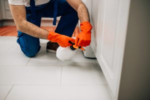 Local Pest Pros Who Care: How Nearby Exterminators Keep Homes Safe and Secure 7 Read more about the article Local Pest Pros Who Care: How Nearby Exterminators Keep Homes Safe and Secure
