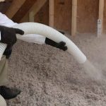 Pest Control Insulation Near Me Wilson NC