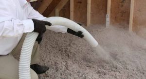 Pest Control Insulation Near Me Wilson NC 6 Read more about the article Pest Control Insulation Near Me Wilson NC