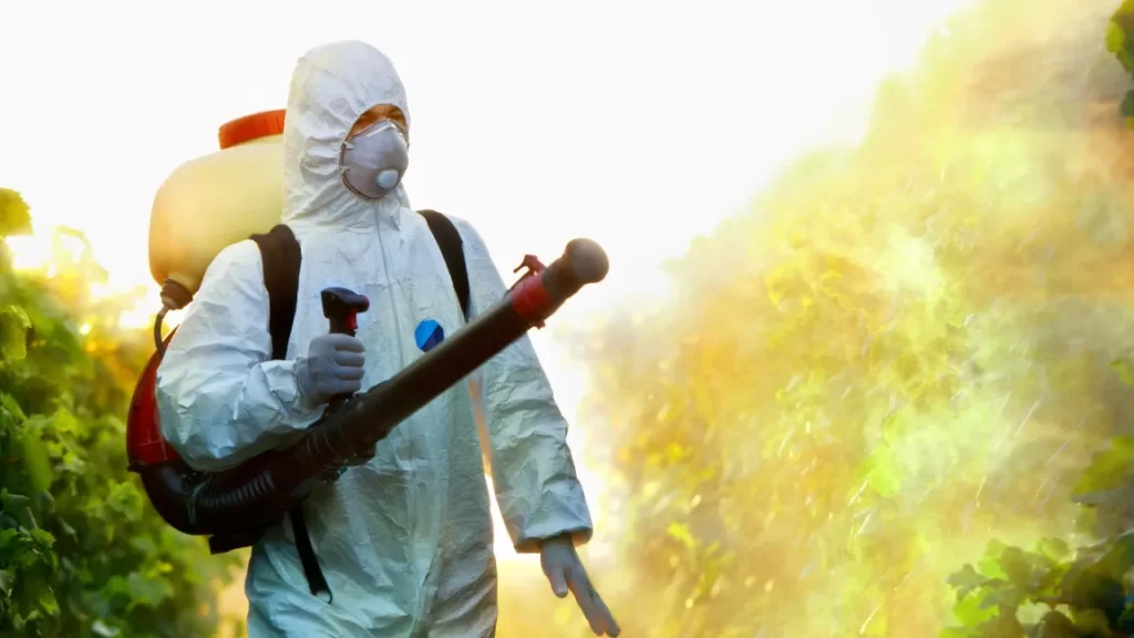 Mosquito Control Myths Debunked: What Actually Keeps Them Out - Martin ...
