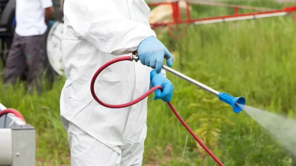 Protect What Matters Most: The Benefits of Hiring a Local Pest Control Company 4 Local Pest Control Expert